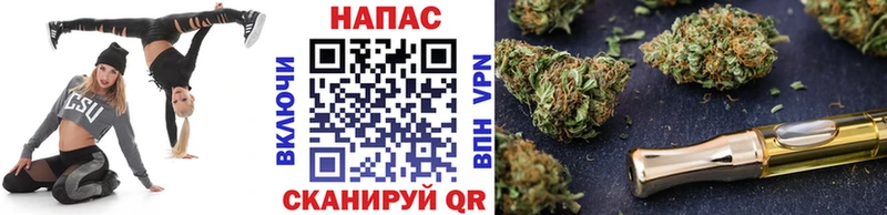 Канабис семена  Цимлянск 